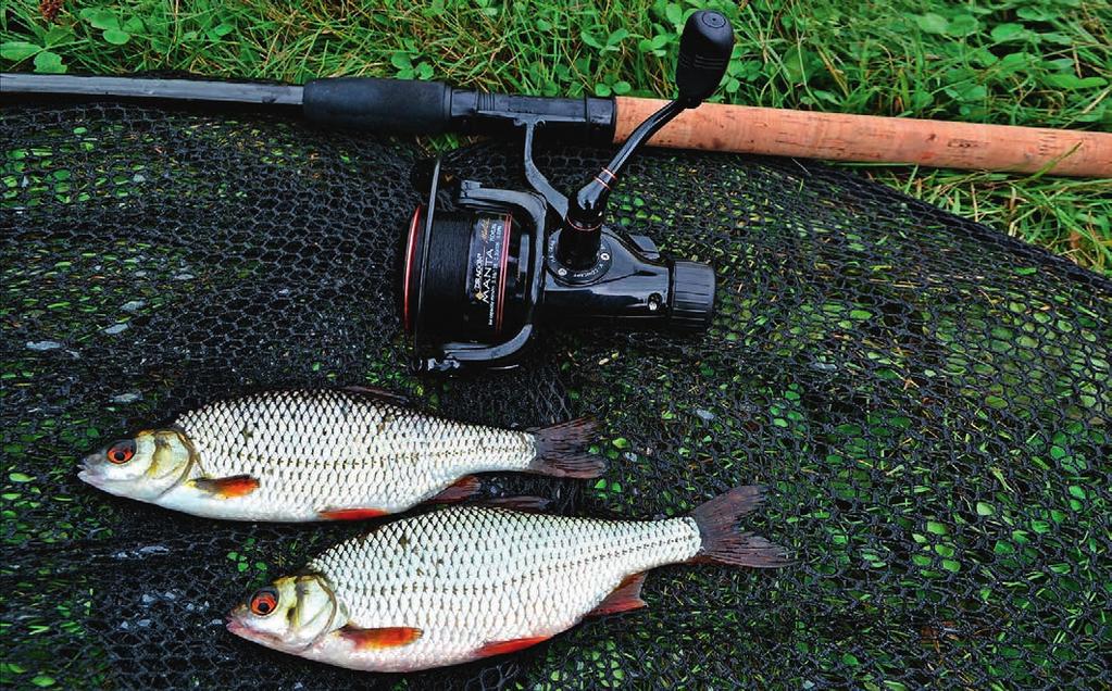 The Lightest SUPER LIGHT GUIDE Wędziska MEGA BAITS Dragon Mega Baits BLACK SHADOW MegaBAITS Black Shadow to wędki odległościowe i feederowe wyprodukowane z doskonałych komponentów, które połączyliśmy