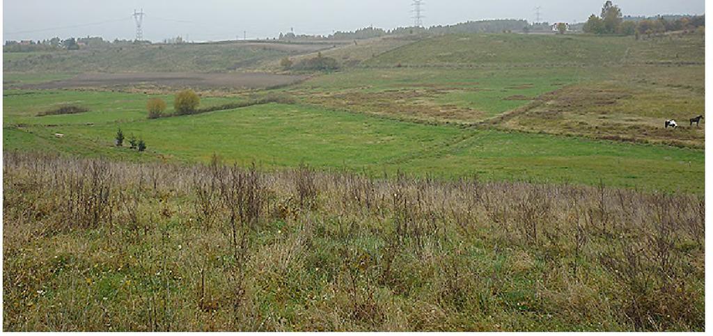 Official Gazette of Warmińsko-Mazurskie Province 1 2 3 4 Dywity MN 10,2 nr 26 poz. 344, 1997 r. Spręcowo MN 3,5 nr 30 poz. 424, 1997 r. Kieźliny, Myki, Wadąg MU 18,8 nr 78 poz. 1378, 1999 r.