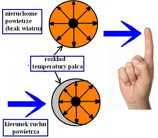 CEL ĆWICZENIA: zapoznanie studentów z metodyką wyznaczania charakterystyki przetwarzania termoanemometru oraz wykorzystaniem czujników rezystancyjnych do pomiarów prędkości przepływu powietrza z
