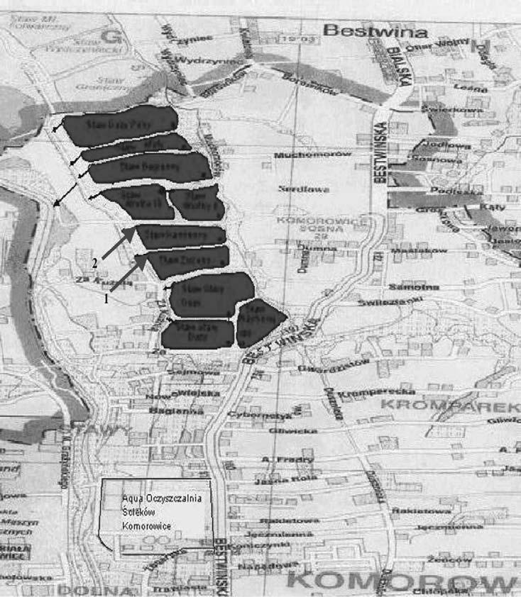 Agnieszka Cupak, Stanisław Krzanowski Rysunek 1. Usytuowanie miejsc poboru próbek w badanych stawach kompleksu Komorowice: 1 staw Zielony, 2 staw Kamienny [Plan miasta... 2004] Figure 1.