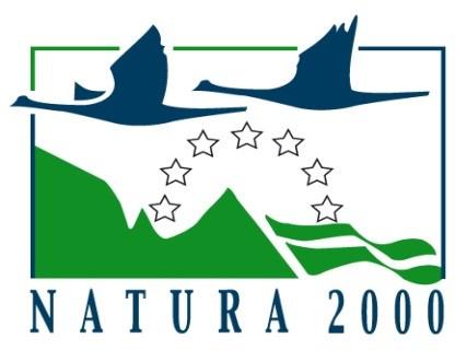 problemy na warsztatach Janina Kawałczewska RCEE