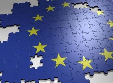 5. Współpraca organizacji pozarządowych z Europejskim Trybunałem Sprawiedliwości.