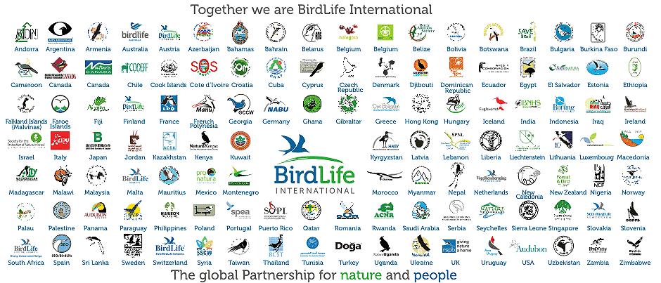 I. Międzynarodowa organizacja zajmująca się ochroną ptaków BirdLife International. Przygotowała m.in.