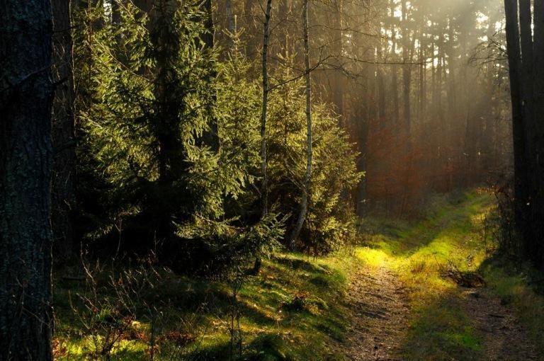 zrównoważony rozwój gmin, powiatów, województw, - ochrona klimatu, - zlikwidowanie