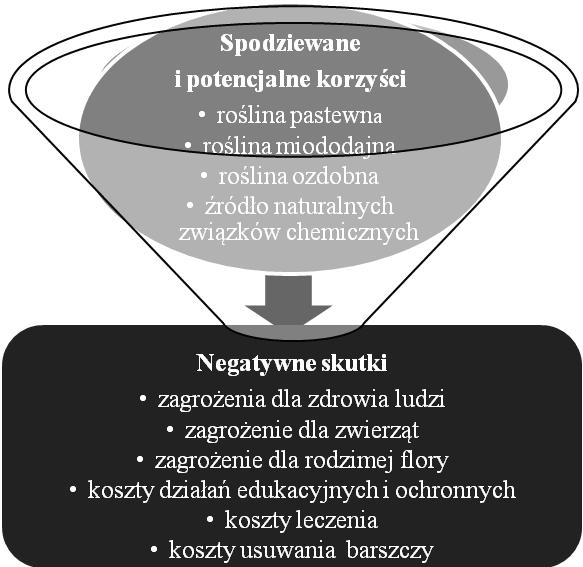 596 Małgorzata Gałczyńska i współaut.