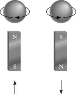 () Spinowa licba kwantowa s (lub m s ) określa w uprosceniu tw. kręt elektronu.