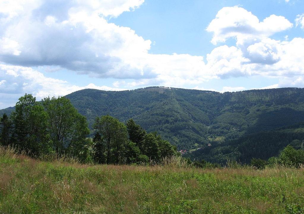 Magurkę Wilkowicką, Przełęcz Przegibek, Groniczki i Hrobaczą Łąkę nad Porąbkę.