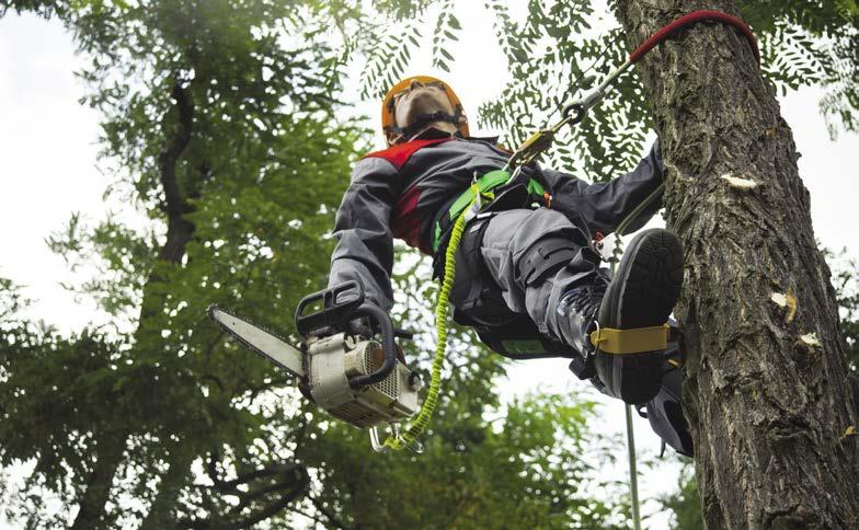 Pas TH 030 stanowi podstawowe wyposażenie podczas pracy na wysokości, głównie na drzewach, słupach, konstrukcjach budowlanych itp.