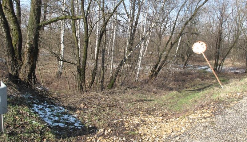 zniszczona infrastruktura sportowa w parku przy ul. Jana III Sobieskiego; zmniejszenie oferty sportoworekreacyjnej dla mieszkańców; Podobszar 3 tereny rekreacyjne przy ul. Jana III Sobieskiego (tzw.