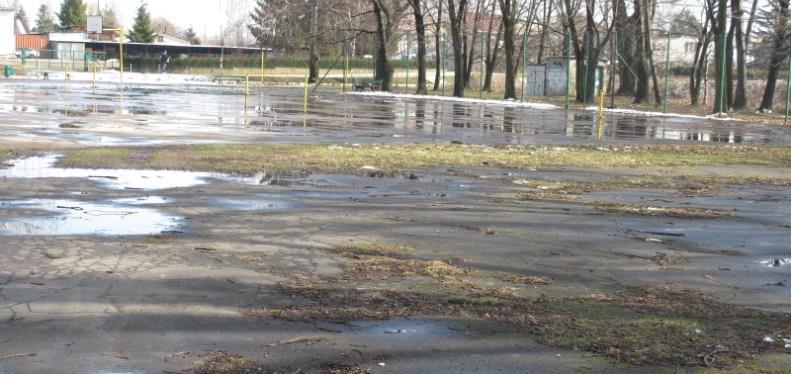Obecność terenów sportowych Hejnału, ośrodek OSiR, liczne tereny zielone stanowią duży potencjał tego terenu. Na tym terenie mieszczą się też tzw. korty wraz z placem zabaw przy ul.