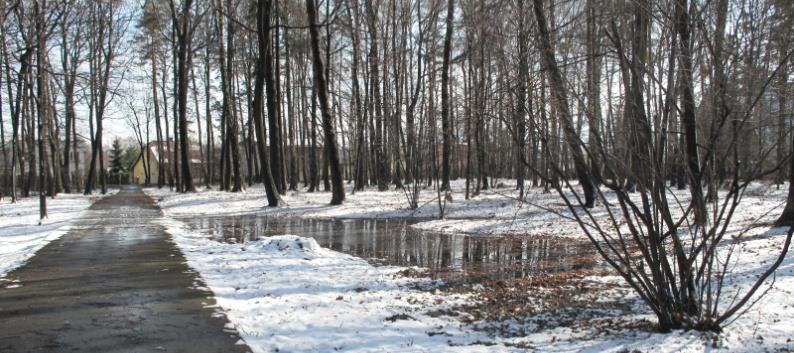 nieurządzona przestrzeń w centralnej części obszaru; brak wykorzystania potencjału miejsca związanego z punktem przesiadkowym; brak