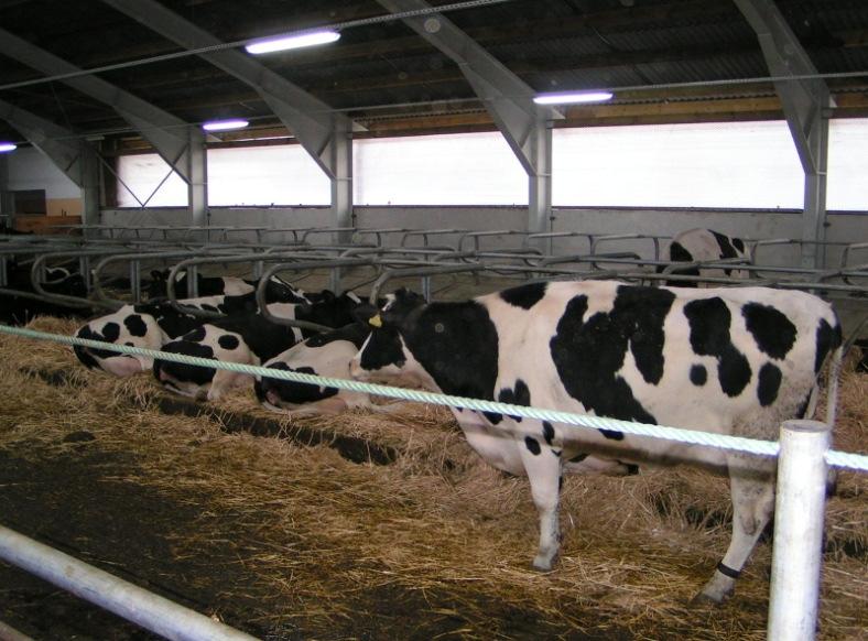 Zazwyczaj wilgotność względna powietrza obniża się wraz ze wzrostem temperatury