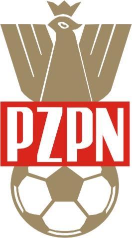 SYSTEM WSPÓŁZAWODNICTWA DZIECI I MŁODZIEŻY W POLSCE PIŁKA NOŻNA WYDZIAŁ