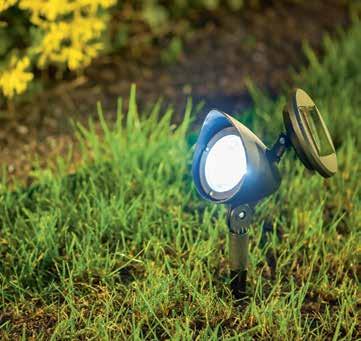 9 od 7 Lampion wiklinowy Natura