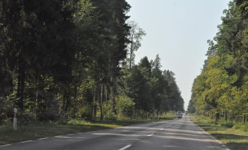 DK19 na terenach zabudowy i obszarach leśnych - woj.