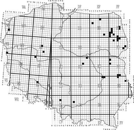 Rozwałka R., Renn K., Sienkiewicz P. Pająki Araneae i kosarze Opiliones Lednickiego... Allomengea vidua (L. Koch, 1879) Liczba okazów - 36: 2 ; 2-18.07-9.08.2012; 15 ; 11-9.08-17.09.2012; 2 ; 4-17.