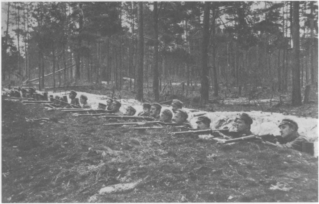 Polskich..., s. 10