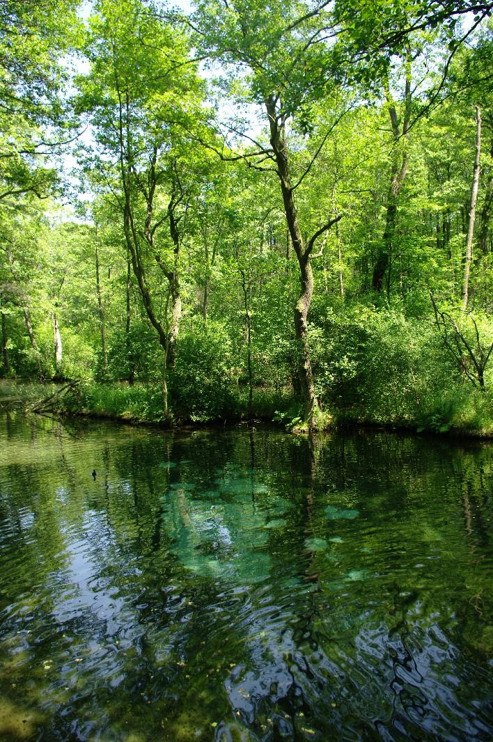 Wywierzyska (źródła o silnym wypływie, charakterystyczne dla
