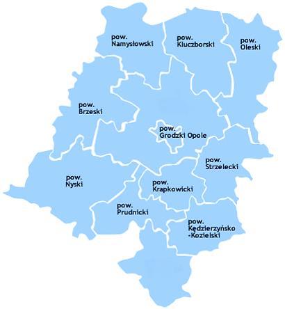UCZESTNICY PROJEKTU: Lider projektu Samorząd