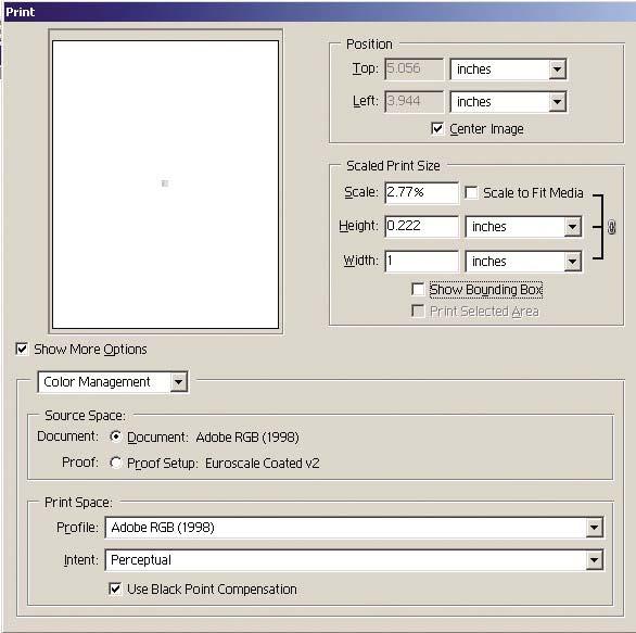 4. Jeśli wydruk obrazu jest gotowy, wybierz polecenie Print with Preview (Wydruk z podglądem) z menu File (Plik).