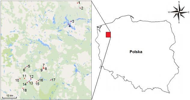 Ichtiofauna jezior zlewni Drawy i Piławy 107 2. TEREN BADAŃ Badania prowadzono na wybranych jeziorach o różnym typie rybackim w zlewni Drawy i Piławy (Rys. 1) w latach 2009 2014.