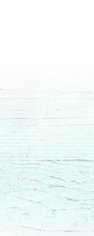 ml, 99* 9
