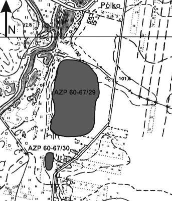 PLANSZA 130 Ryc. 1. Pólko. Zasięg stanowiska AZP 60-67/29. Fig. 1. Pólko. Extent of Site AZP 60-67/29.