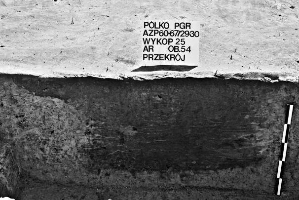 Ryc. 3. Pólko.