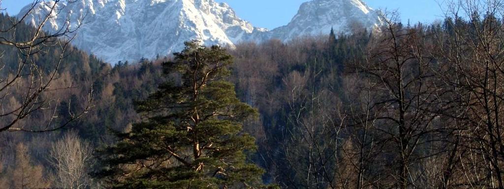 Fatimskiego, fot.
