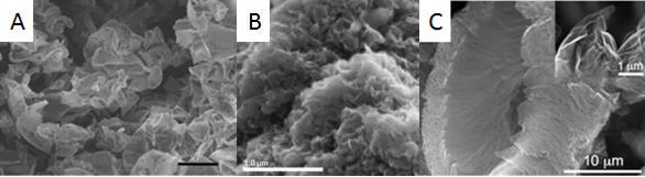 Rysunek 14 Zdjęcia SEM przedstawiające grafen A 63 B 64 C 65 2.1.2 Nanorurki węglowe Nanorurki węglowe są jednowymiarową (1D) strukturą węgla, zbudowaną z cylindrycznie zwiniętego arkusza grafenu.