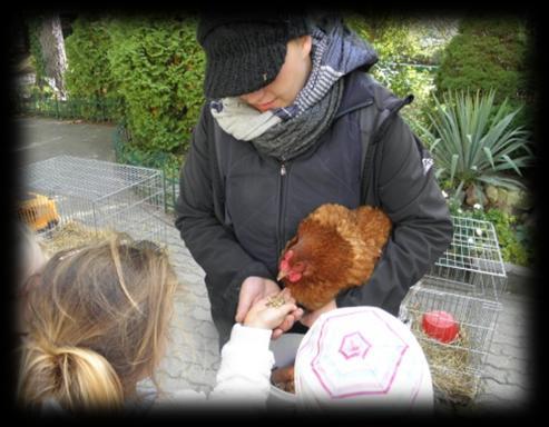 Warsztaty przyrodnicze Na początku października w naszym przedszkolu odbyły się warsztaty przyrodnicze z żywymi zwierzętami.