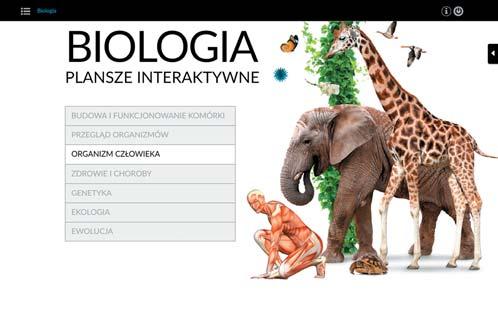 Każdy temat kończą ćwiczenia interaktywne sprawdzające wiedzę uczniów Plansze w liczbach 120 plansz interaktywnych 17