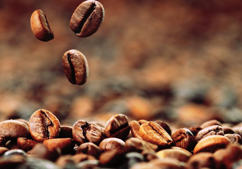 CHARAKTER I URZEKAJĄCY AROMAT Wyłącznie za sprawą wypalania, ziarna kawy mogą objawiać swoją charakterystykę i dobrze znany smak.