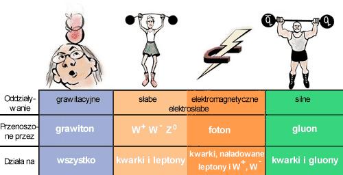 Rys. PA Typy oddziaływań w fizyce cząstek: Oddziaływania silne (nośnikami są gluony) odpowiadają za wiązanie kwarków w nukleonie (neutronie i protonie) oraz neutronów i protonów w jądrach
