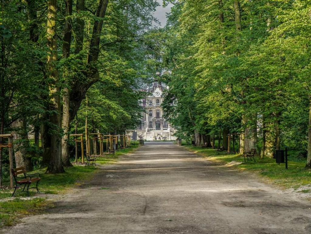 Zachowane pomniki przyrody, gatunki rzadkie i chronione