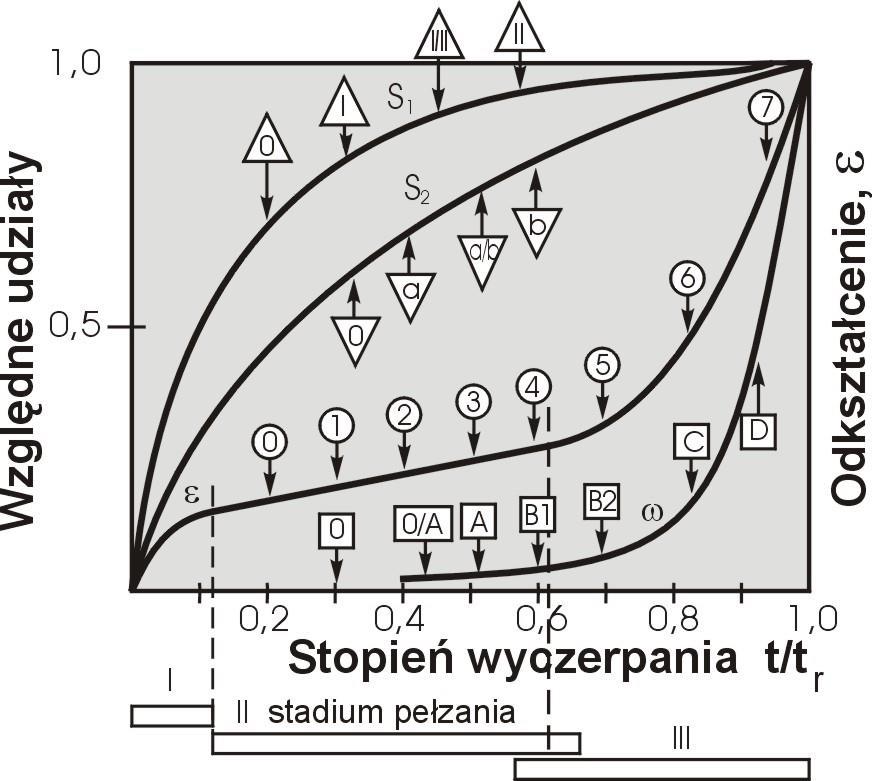 STRUKTURY I WEWNĘTRZNYCH USZKODZEŃ ZASADA