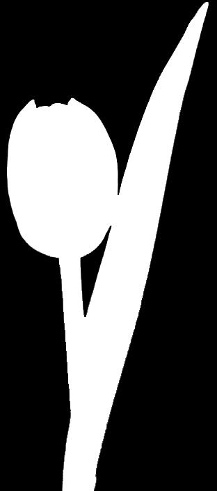 obchodziły Panie m.