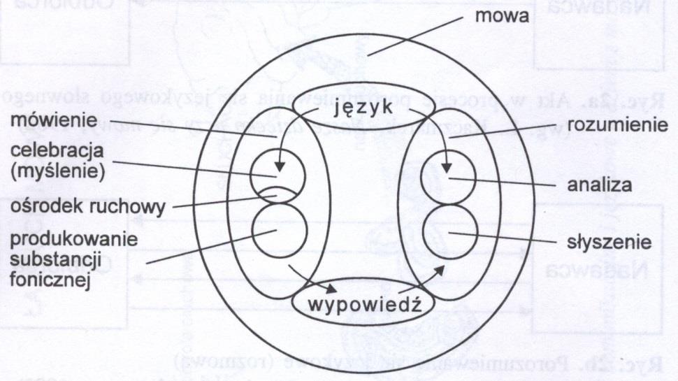 Czyli odbiór wypowiedzi słownej Odbiór możliwy jest wówczas, gdy słuchacz usłyszy naszą wypowiedź i uświadomi sobie, co ona znaczy, jakie zawiera myśli.