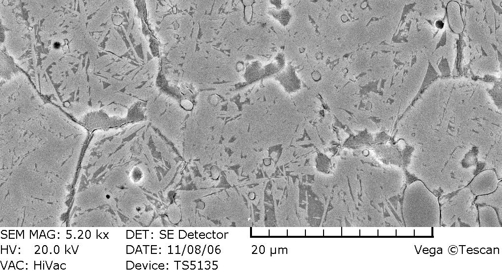 Mikroskop skaningowy Fig. 7.   575 ºC Scanning microscope