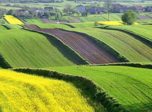 130 Egzamin maturalny. Geografia. Poziom rozszerzony. Zbiór zadań Zadanie 221. Na mapie Polski przedstawiono daty pierwszych przymrozków jesiennych, a na fotografii pola uprawne na Roztoczu.