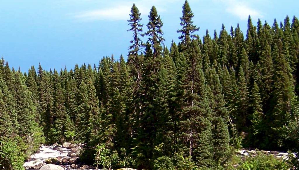 Fotografia przedstawia krajobraz naturalny strefy roślinno-krajobrazowej, w której znajduje się jeden z zaznaczonych na mapie obszarów. Na podstawie: http://www.panoramio.