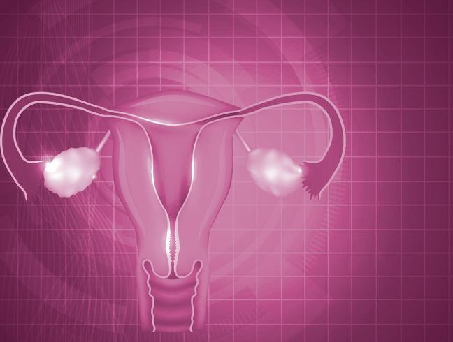 CO WARTO WIEDZIEĆ BEZPŁATNY National Cancer Institute of United States Polskie Towarzystwo Ginekologii