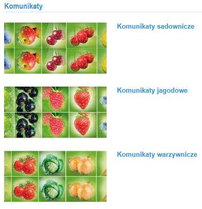 Polski projekt Food Chain Vademecum System Wspomagania Decyzji Vademecum Wizyta w BCS USA, Sacramento Dane ze stacji pogodowych będą powiązane z publikowanymi