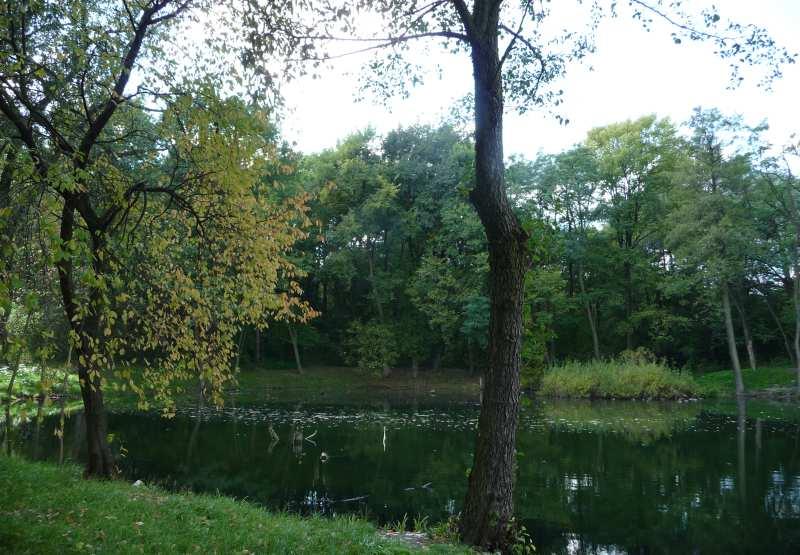 19 b. Park Duchacki i jego okolice