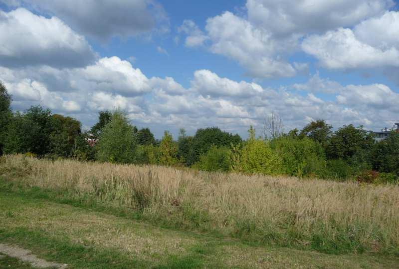 22 Fot. nr 34. Skrawek wolnej zieleni na obszarze między ulicami: Wolności (w tle) i Estońską. (02.10.13) Fot. nr 35.