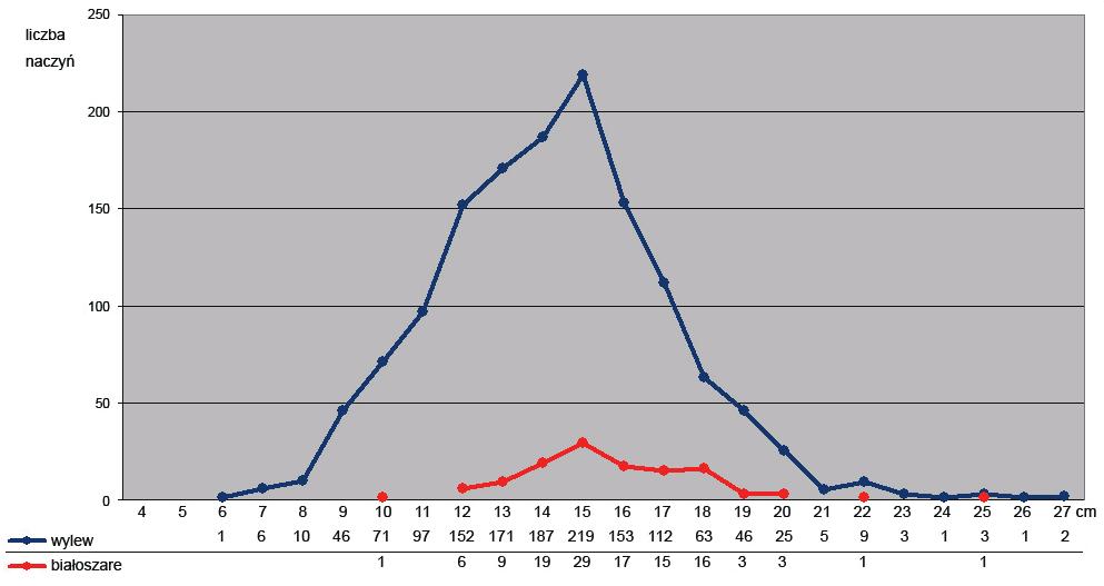 Participation of white-grey vessels in structure of pottery production in use, dated from 2 nd half of 15 th century and 1 st half of 16 th century in studied Puck