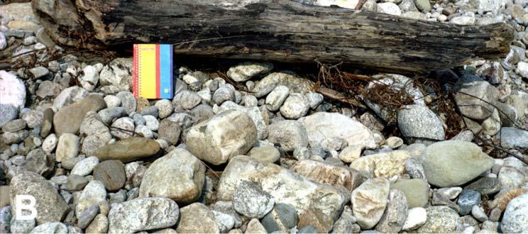 Examples of the