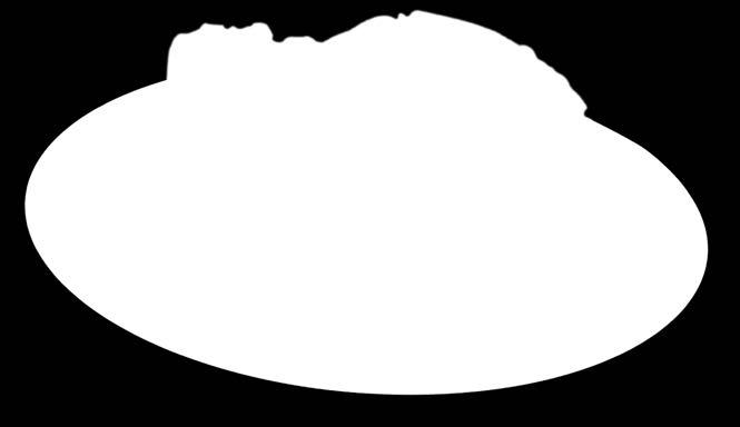 Schab z