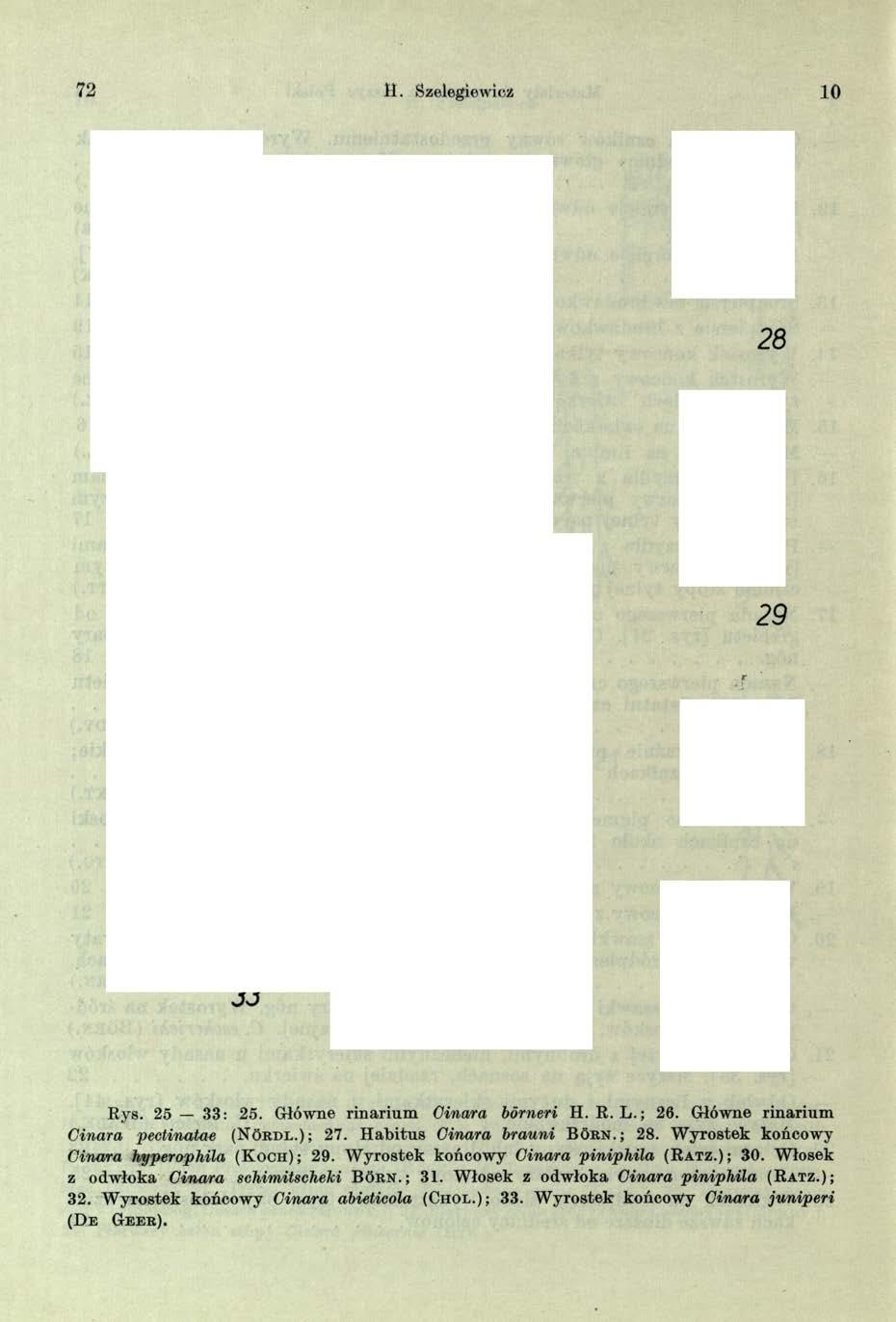 72 H. Szelegiewicz 10 R y s. 25 3 3 : 2 5.