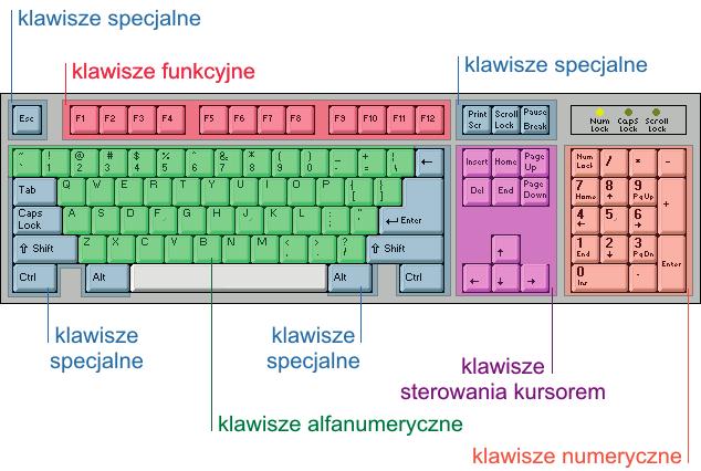 Rysunek 3.. Układ palców obu rąk na klawiaturze Ćwiczenie 3.1. Pamiętając o prawidłowej postawie ciała, poćwicz pisanie na klawiaturze z użyciem programu wskazanego przez nauczyciela.